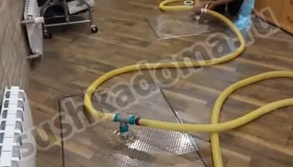 Просушка ламината, паркета после залива, затопления